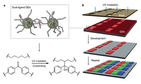 纳米人 Nature Nanotechnol：双重配体修饰量子点表面