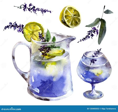 Lemonade With Lemon And Lavander Stock Illustration Illustration Of