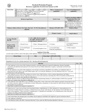 Fillable Online Sba GovsitesdefaultPPP Loan Forgiveness Application