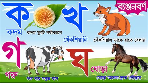 Bangla Banjonborno ছব দখ বযঞজনবরণ শখ Bangla Bornomala Shikkha