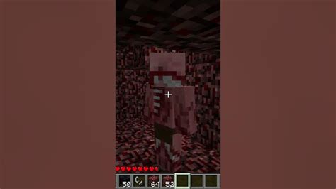 Minecraft The Old Zombie Pigman Texture Zombified Piglin Youtube