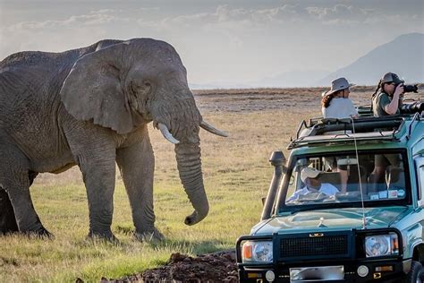 Nairobi Visite guidée d une journée complète du parc national