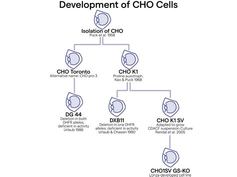 Recombinant Protein Production Using Cho Media System Lonza