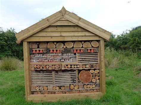 Minibeast Mansion, Fox Field, Woolley Firs, Education Centre, Berks ...