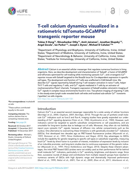 Pdf T Cell Calcium Dynamics Visualized In A Ratiometric Tdtomato