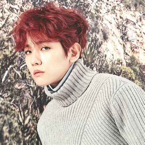 SCAN BaekHyun 2017 Seasons Greetings official calendar cr 란초