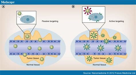 Nanotechnology And Drug Delivery The World Of Nanoscience