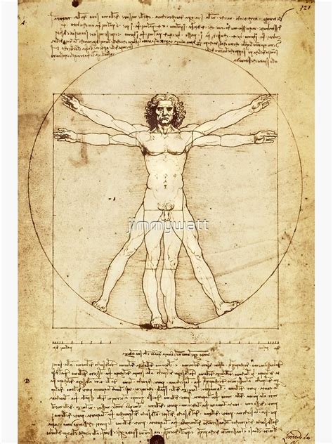 Poster Dessin d homme de Vitruve de Léonard de Vinci par jimmywatt