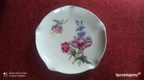 Paterka Rosenthal Syg Thomas Bavaria Bia A Porcelana Gda Sk