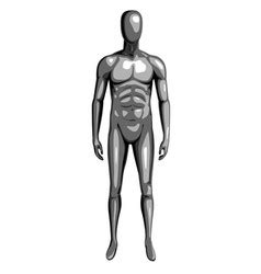 3d Male Mannequin Nude Plastic Dummy Royalty Free Vector