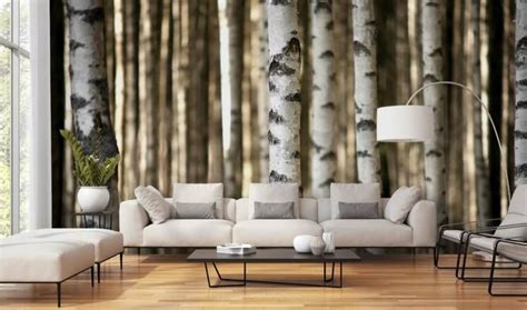 Birch Tree Wallpaper Wall Murals Wallsauce US