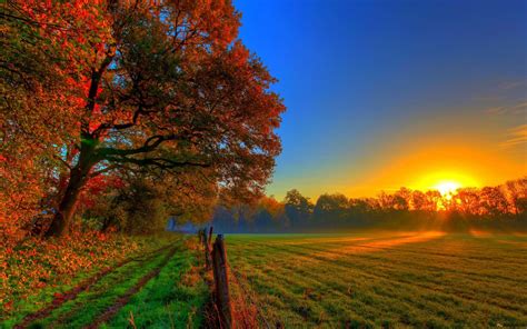 Autumn and sunset 4K wallpaper download