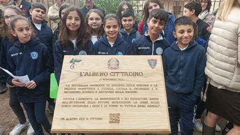 Reggio Calabria Giornata Nazionale Degli Alberi ABM Report