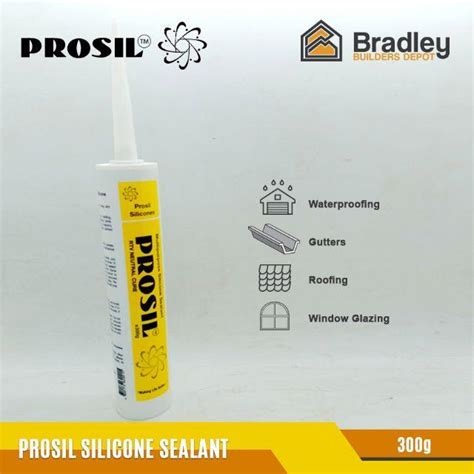 Prosil Multipurpose Silicone Sealant 300g Lazada PH