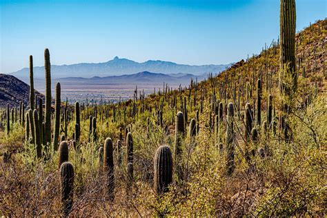 15 Best Things To Do In Tucson In 2024 Pictures Of Phoenix Arizona