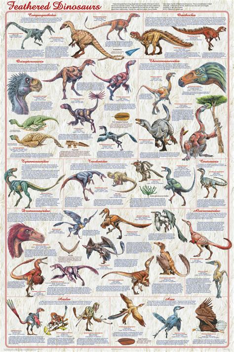 Feathered Dinosaurs 2 Educational Poster 24x36 - The Blacklight Zone