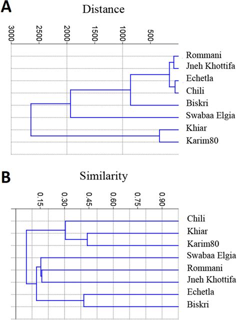 Upgma Dendrogram A Based On Euclidean Distance Coefficient Of Eight