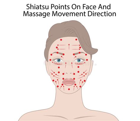 Technique De Massage Facial Et Points Shiatsu Illustration Vectorielle