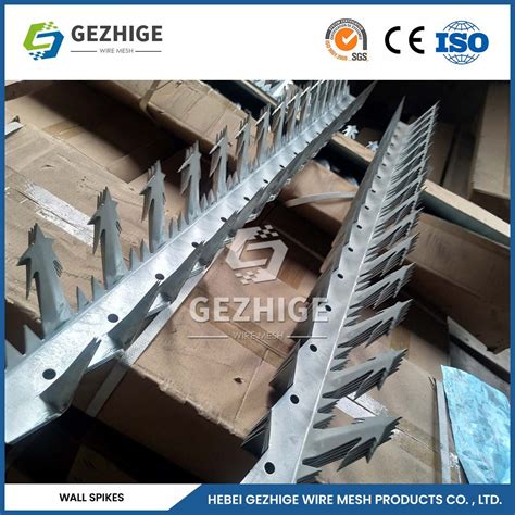 Gezhige Razor Spikes Manufacturers Cm Blade Spacing Wall Spikes China