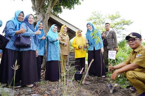 Rangkaian HKG Ke 51 Tahun 2023 TP PKK OKU Timur Tanam Pohon Di Pesisir