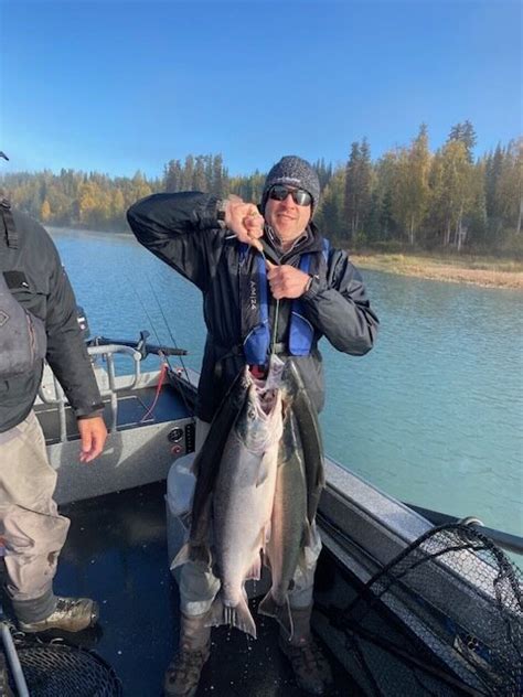 Alaska Silver Salmon On The Kenai River