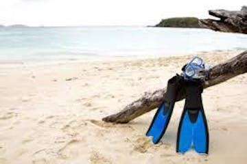 Vieques Snorkeling Tour in Puerto Rico | Bespoke Lifestyle Mgmt