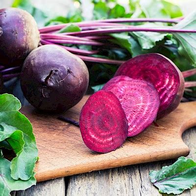 Beetroot Production in Australia (2019) - Orchard Tech