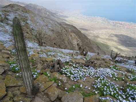 Quebrada de la Chimba Reserva Nacional 안토파가스타 Quebrada de la Chimba