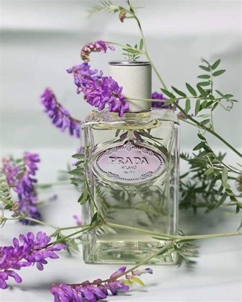 Iris - The Noble Ingredient in the Perfumery World