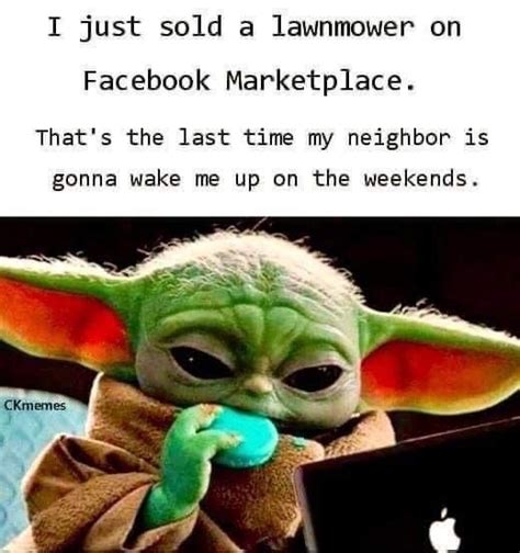 Pin By Maggiemy Cooper On Yoda Yoda Funny Yoda Quotes Grumpy Cat Humor