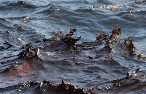 Golden Touch Deepwater Horizon Incident Gulf Of Mexico Bp Oil Spill