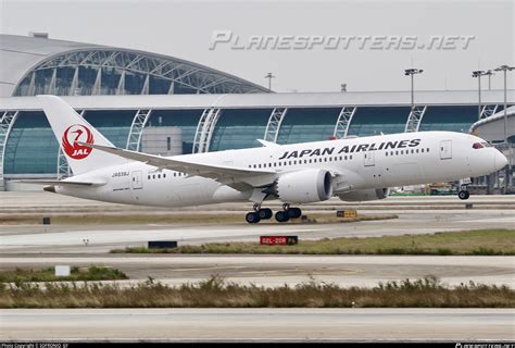 Ja J Japan Airlines Boeing Dreamliner Photo By Sofronio Gy Id