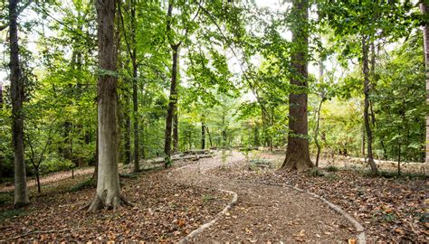 WildWoods & Fernbank Forest — ATLnature