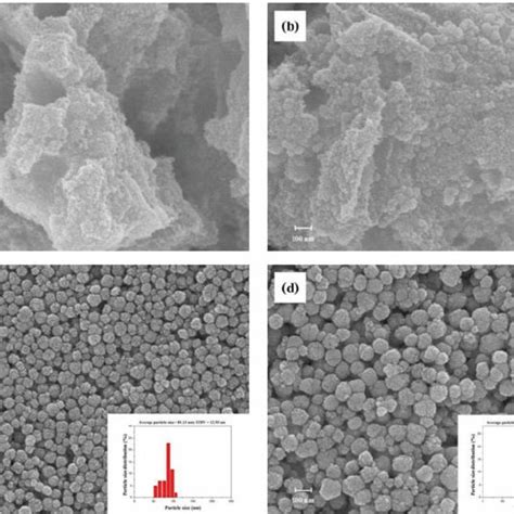 Pdf Sonochemical Synthesis Of Spherical Batio3 Nanoparticles