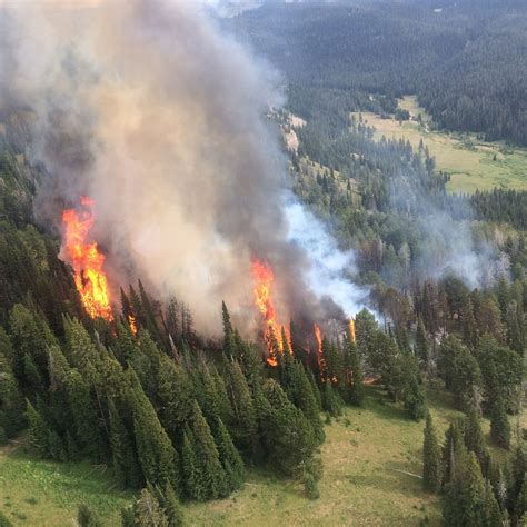 Fawn Fire Burning On Acres In Northwest Yellowstone Yellowstone