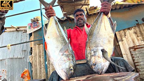 KASIMEDU MINNAL RAJA BIG TREVALLY FISH CUTTING IN KASIMEDU 4K