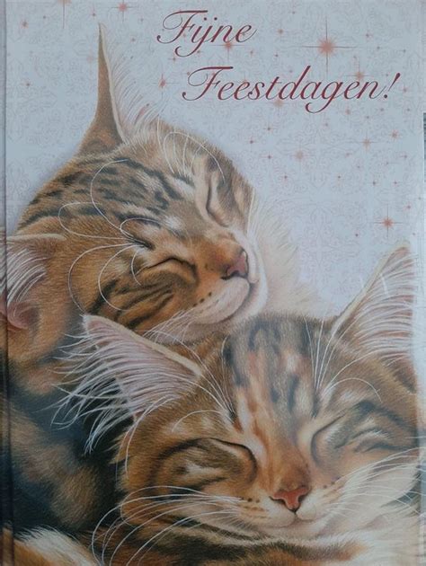 Dubbele Kerstkaarten Franciens Katten Met Enveloppen Poezen