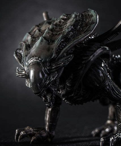 King Xenomorph | Wiki | Alien Amino! Amino