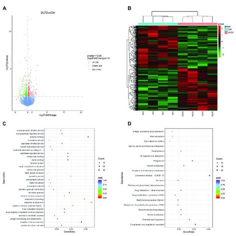 Differential Gene Expression GO And KEGG Analysis Of Liver Between The