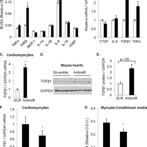 Mir 378 Dependent Regulation Of Tgf1 Expression And Release A