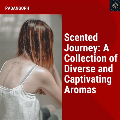 Scented Journey: A Collection of Diverse and Captivating Aromas – PabangoPH