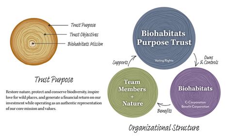 Biohabitats Succession Why How We Decided To Become A Perpetual