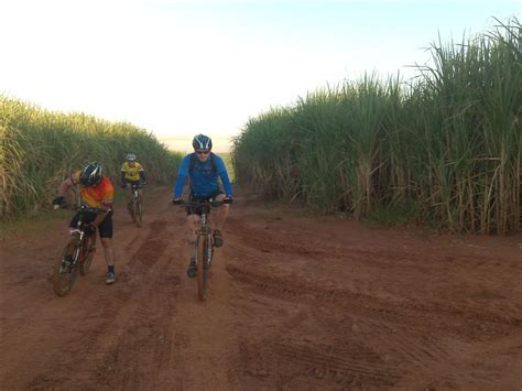 Pedala Catanduva Aparecida Do Monte Alto A Km