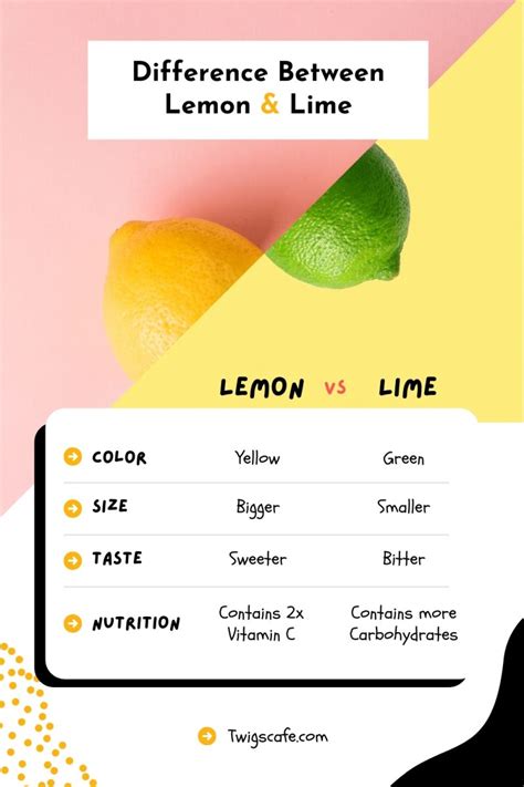 Lime Vs Lemon Differences And Similarities Twigs Cafe