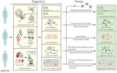 Targeting Ferroptosis Based Cancer Therapy Using Nanomaterials Strategies And Applications