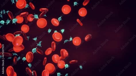 Red Blood Cells Erythrocytes And Platelets Thrombocytes Platelets