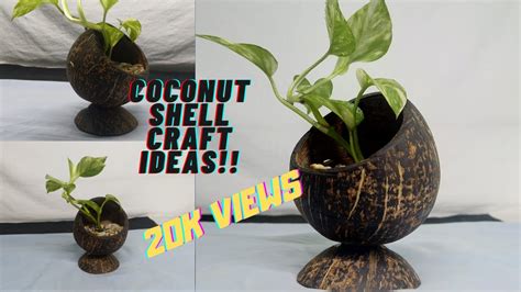 Amazing Coconut Shell Pot Coconut Shell Crafts Ideas Coconut Craft