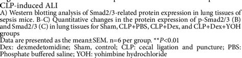 Pdf Dexmedetomidine Protects Against Sepsis Induced Lung Injury