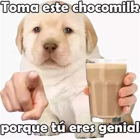 Top Memes De Perrito En Español Memedroid
