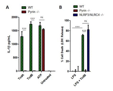 The Yersinia Pestis Effector Yopm Inhibits Pyrin Inflammasome